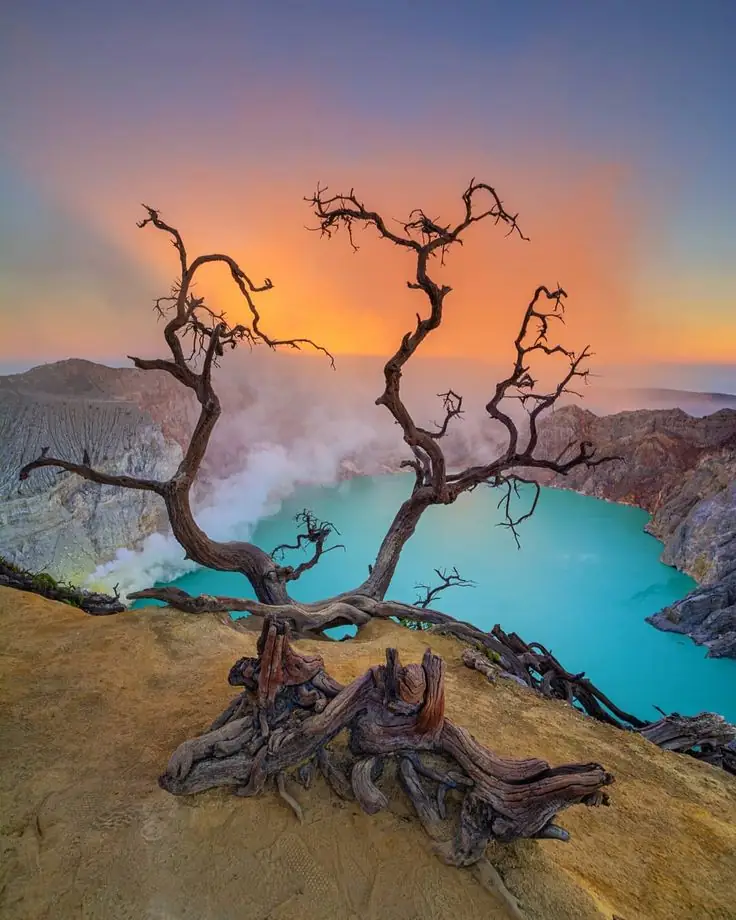 Tour dan travel Banyuwangi bersama 4NG Tour