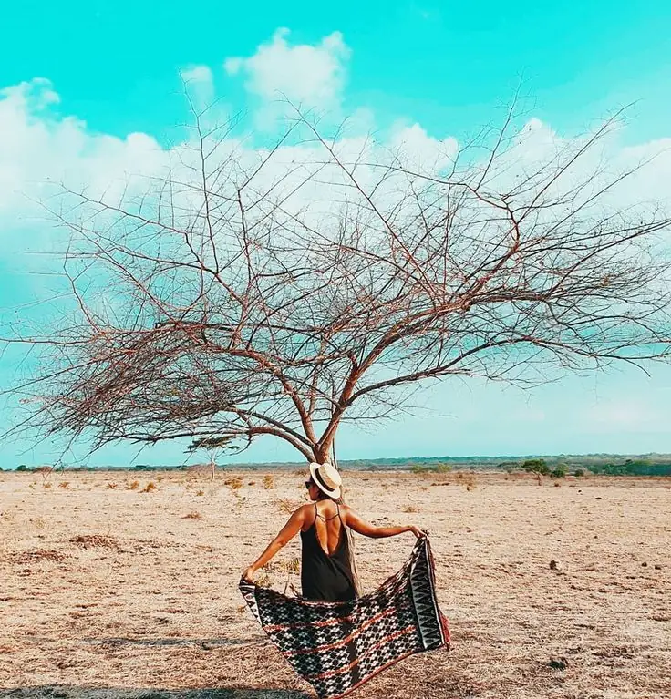 Wanita cantik dan padang savana alas baluran
