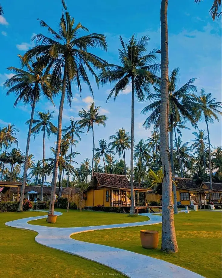 Travel experience with 4NG Tour